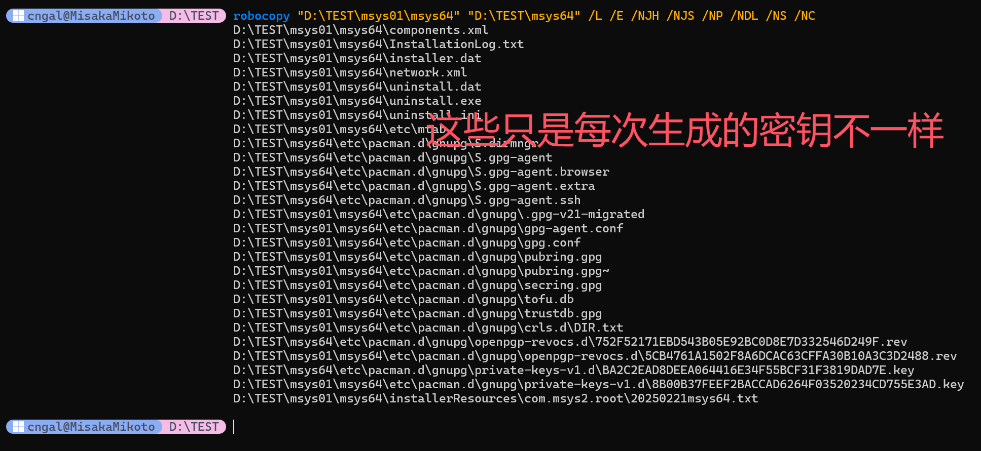 image-20250314000741152